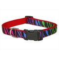 Sassy Dog Wear Sassy Dog Wear ZEBRA-RAINBOW3-C Zebra Dog Collar; Rainbow - Medium ZEBRA-RAINBOW3-C